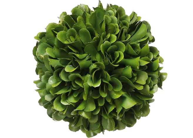 BOXWOOD BALL DECOR