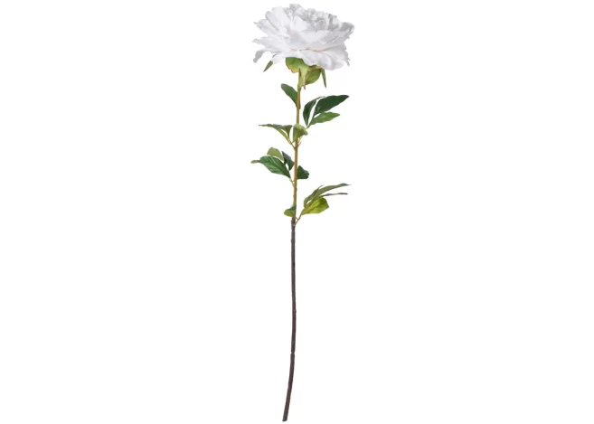 PEONY STEM FOR DECOR